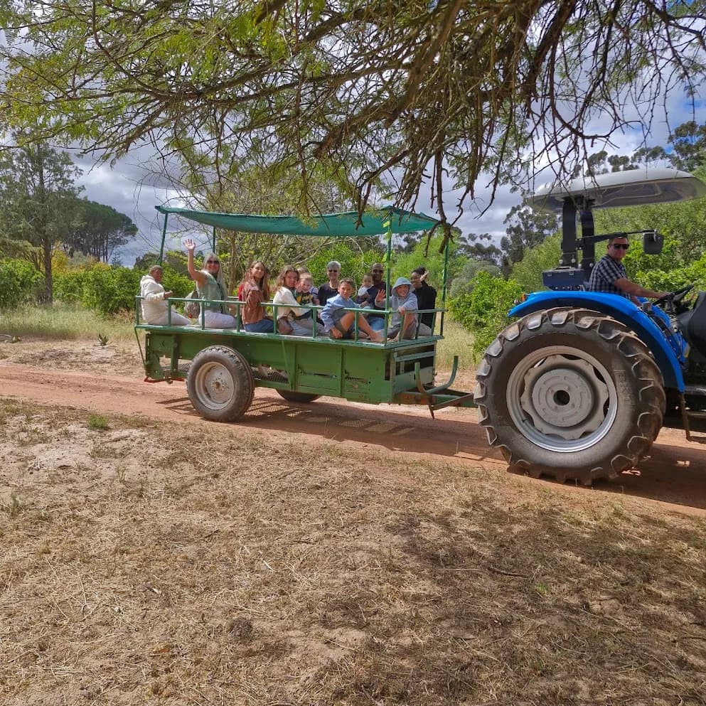 A blue tractor towing a trailer full of seated visitors along a dirt track under the trees on the Camphill farm