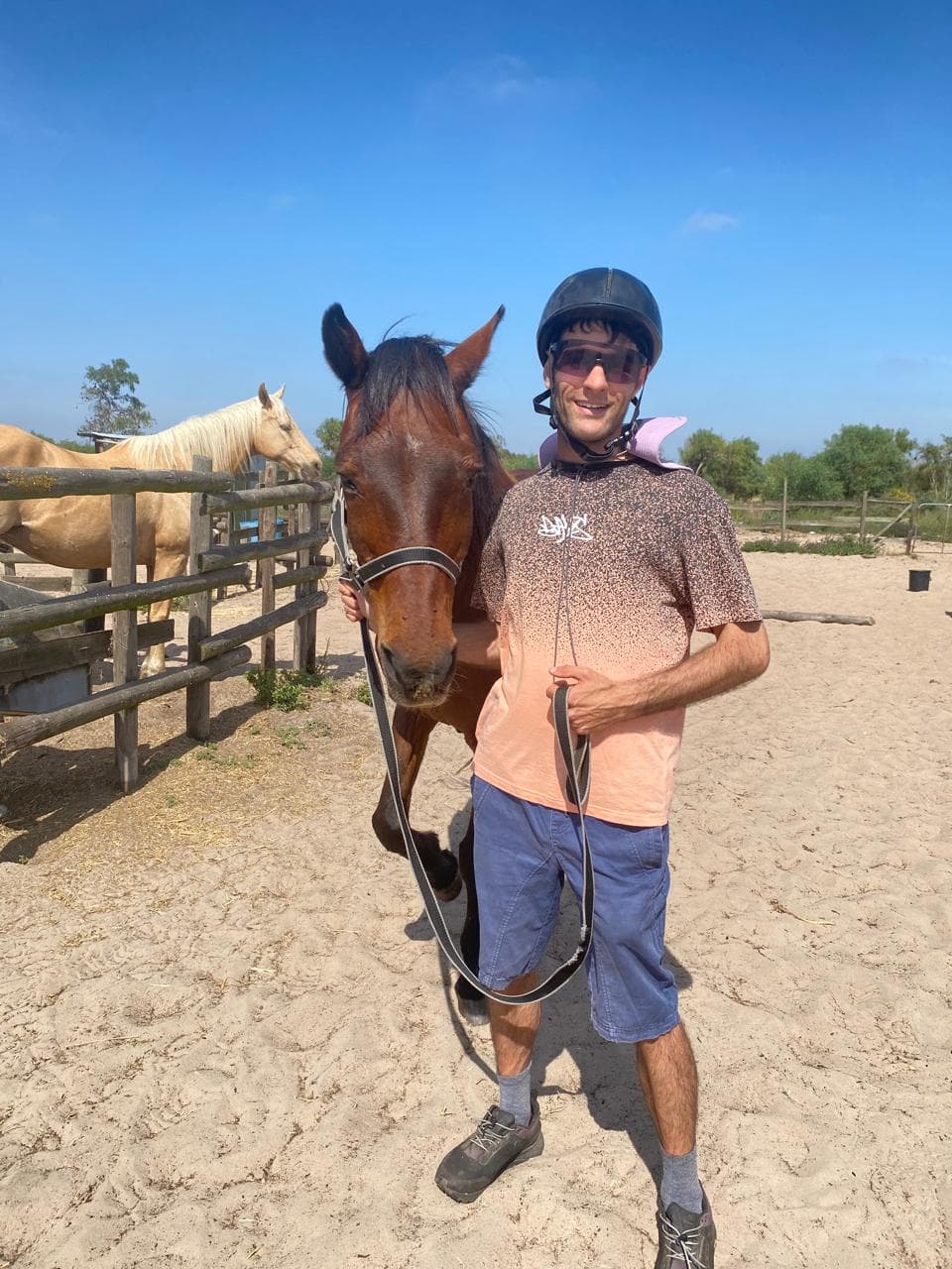 horse and a resident